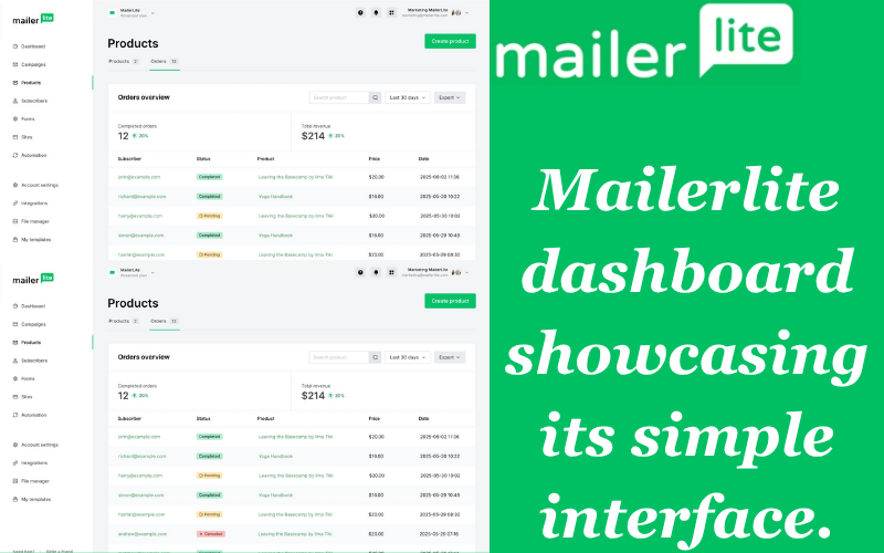 Mailerlite dashboard showcasing its simple interface.